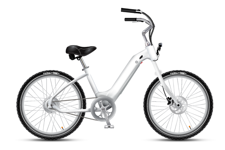 MODEL R - STEP THROUGH STYLE - CUSTOMIZABLE