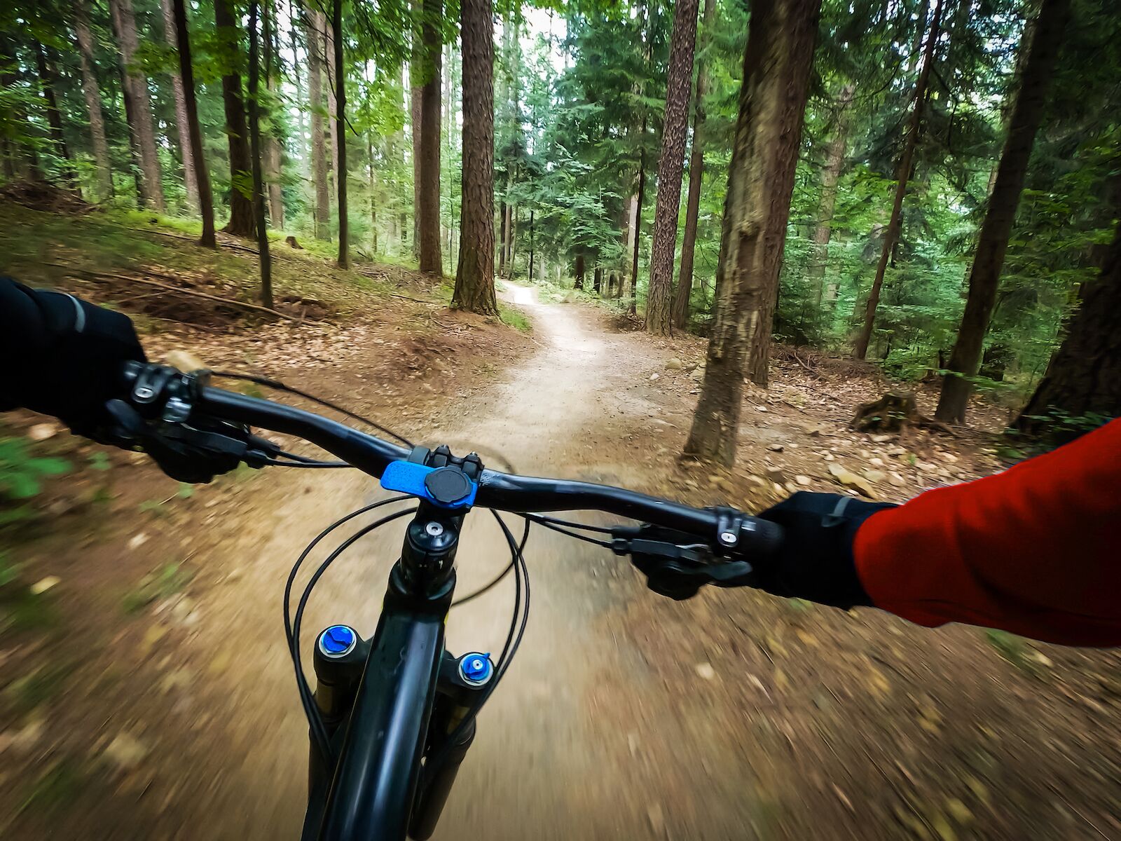 POV of a mountain biker speeding through a forest trail, with motion blur conveying off-road excitement.