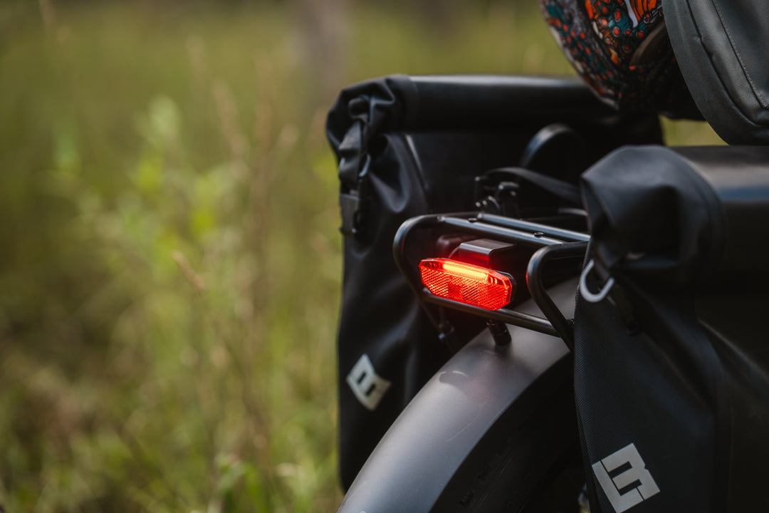 Fat tires on XPeak Step-Thru electric bike